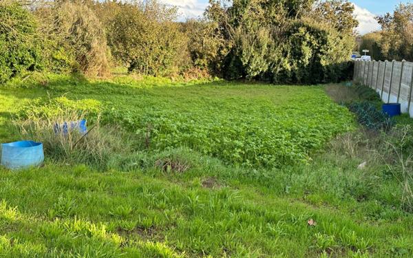 Maison à vendre    4 pièces •  Plouarzel