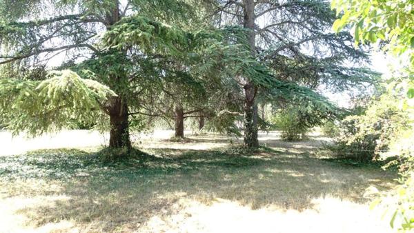 Maison avec fort potentiel aux Duyes, terrain divisible