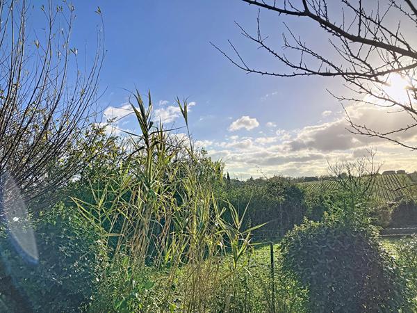 A vendre à moins de 1 kilomètre du centre-ville de Chalonnes sur Loire, maison de plus de 120m² habitable, 4 chambres dont une suite parentale au rez-de-chaussée, et jardin de plus de 900m².