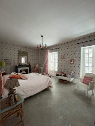 GRANDE MAISON DE MAÎTRE, 10 pièces, piscine, jardin et garage.