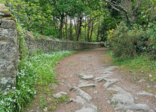 Terrain à vendre    475 m2 Loctudy