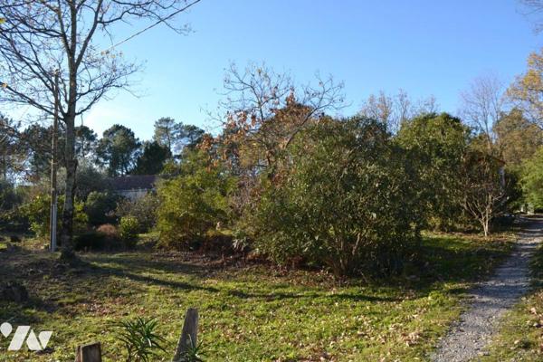 GRANDE VILLA AVEC TERRAIN ATTENNAT DE 2770 m²