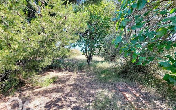 Maison à vendre    1 pièce •  Le Castellet