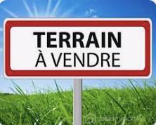 Terrain de 180 m²