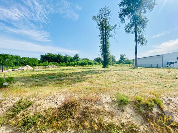Vente terrain Lesparre Medoc : 145 000 € - AJP Lesparre Immobilier