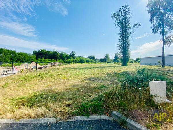 Vente terrain Lesparre Medoc : 145 000 € - AJP Lesparre Immobilier