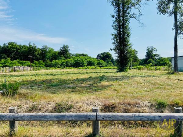 Vente terrain Lesparre Medoc : 145 000 € - AJP Lesparre Immobilier