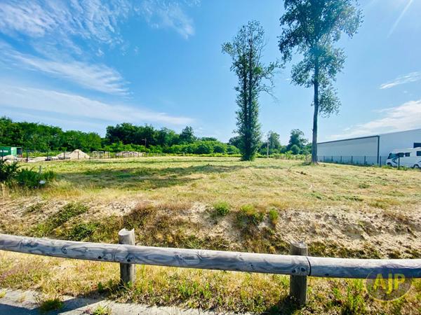 Vente terrain Lesparre Medoc : 145 000 € - AJP Lesparre Immobilier