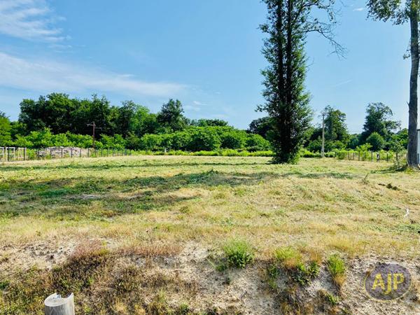 Vente terrain Lesparre Medoc : 145 000 € - AJP Lesparre Immobilier