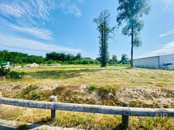 Vente terrain Lesparre Medoc : 145 000 € - AJP Lesparre Immobilier