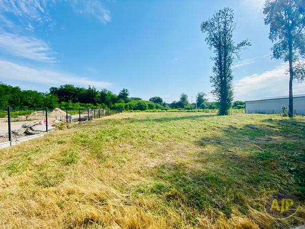 Vente terrain Lesparre Medoc : 145 000 € - AJP Lesparre Immobilier