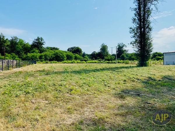 Vente terrain Lesparre Medoc : 145 000 € - AJP Lesparre Immobilier