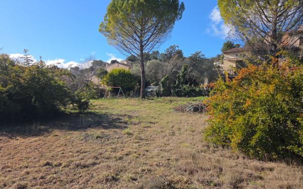 Terrain à vendre    Sainte-Tulle