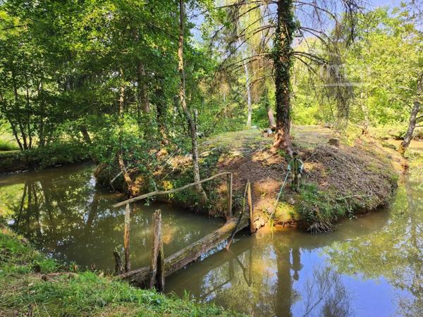 A vendre sur la commune de St Georges sur Moulon dans le Cher (18), à 15mn de Bourges.