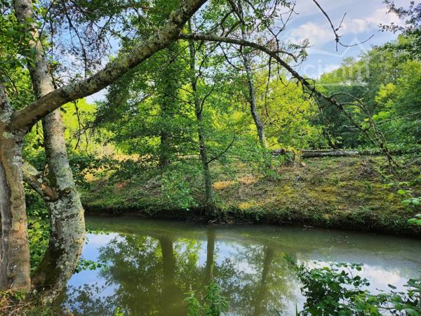 A vendre sur la commune de St Georges sur Moulon dans le Cher (18), à 15mn de Bourges.