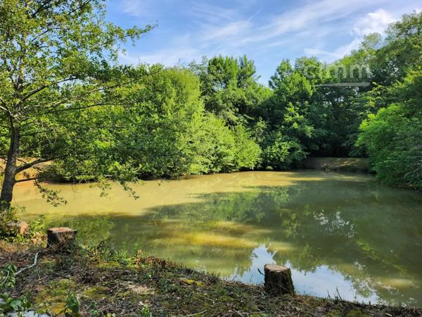 A vendre sur la commune de St Georges sur Moulon dans le Cher (18), à 15mn de Bourges.