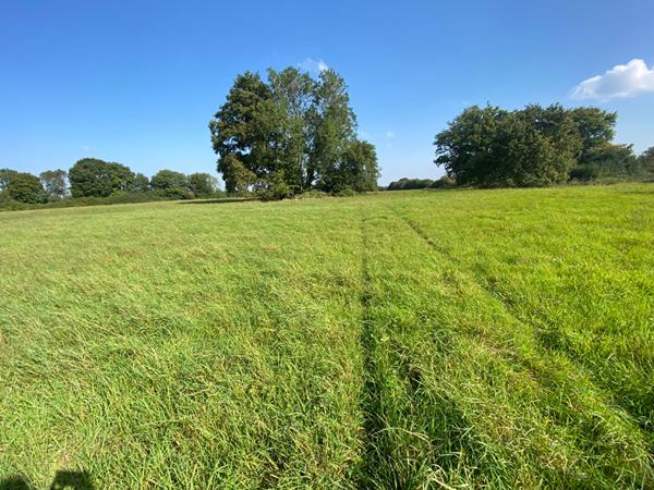 Ancien corps de ferme avec prairie prôche Longny Les Villages