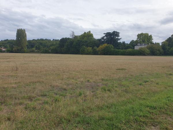 Pour investisseur magnifique terrain totalement constructible 35500m²