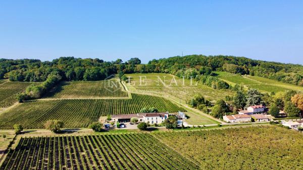 PROPRIETE VITICOLE EN GIRONDE