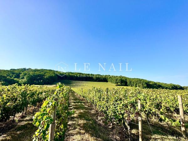 PROPRIETE VITICOLE EN GIRONDE