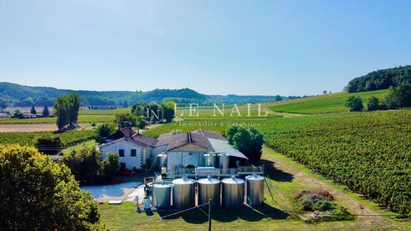PROPRIETE VITICOLE EN GIRONDE