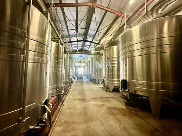 PROPRIETE VITICOLE EN GIRONDE