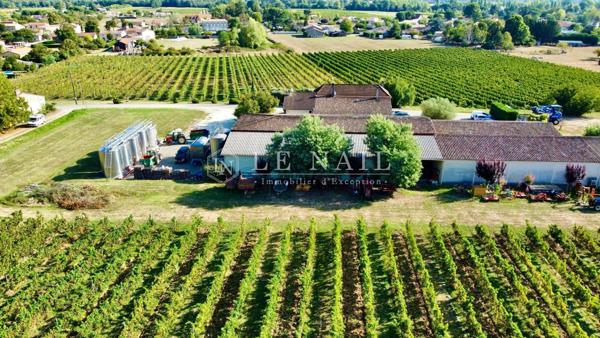 PROPRIETE VITICOLE EN GIRONDE