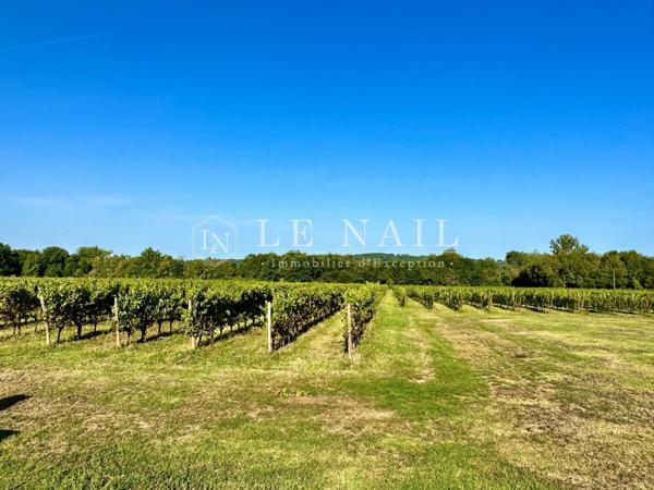 PROPRIETE VITICOLE EN GIRONDE