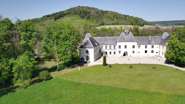 Château Renaissance et du XVIIIe, forte empreinte historique Napoléonienne, proche de Chaumont (52)
