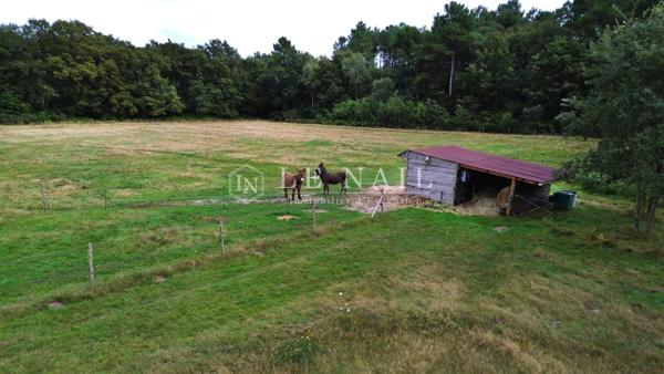 PROPRIÉTÉ D’ÉPOQUE RESTAURÉE DANS UNE CLAIRIÈRE AVEC 21 HECTARES DE TERRAIN