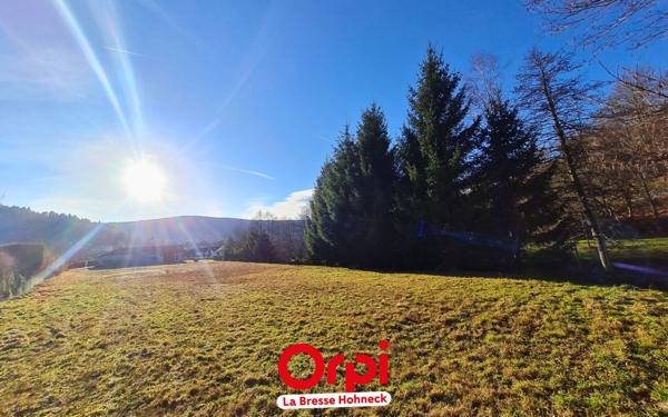 Terrain à vendre    Xonrupt-Longemer