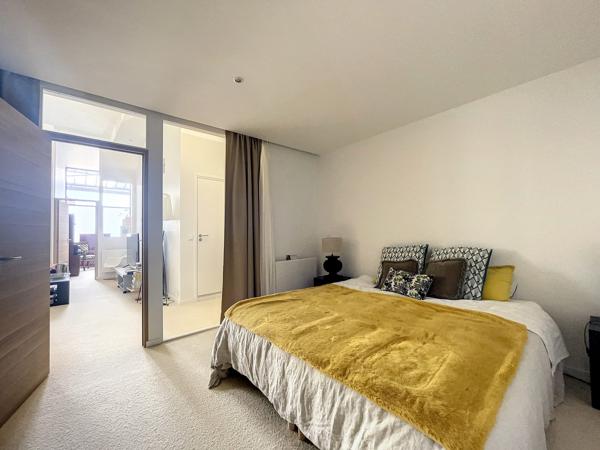 Loft de 236 m² avec jardin
