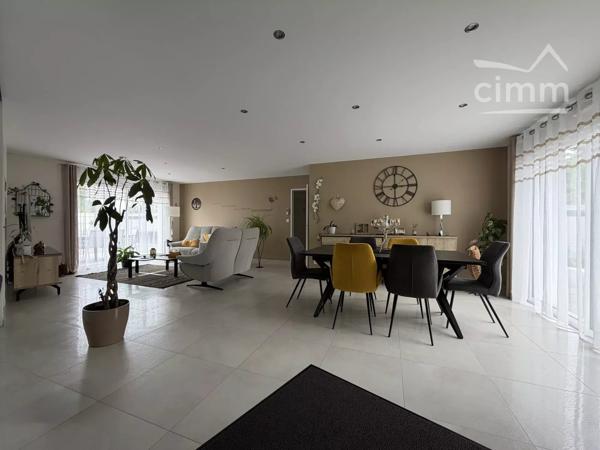 Nicolas Cimm vous propose,