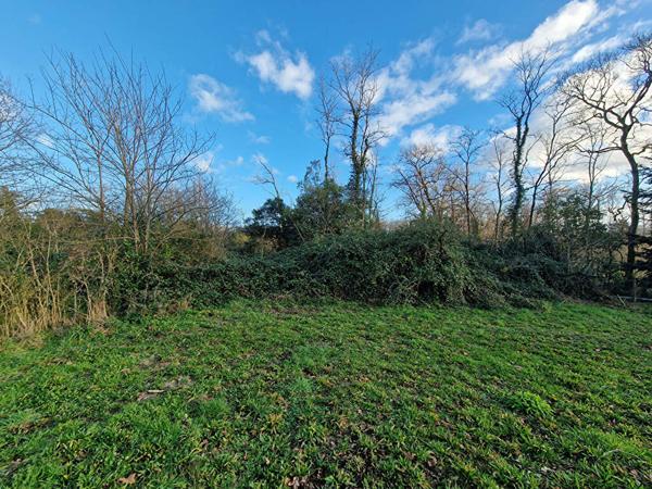 Terrain 4084 m2