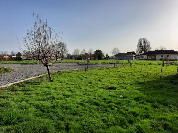 Terrain 1151 m2