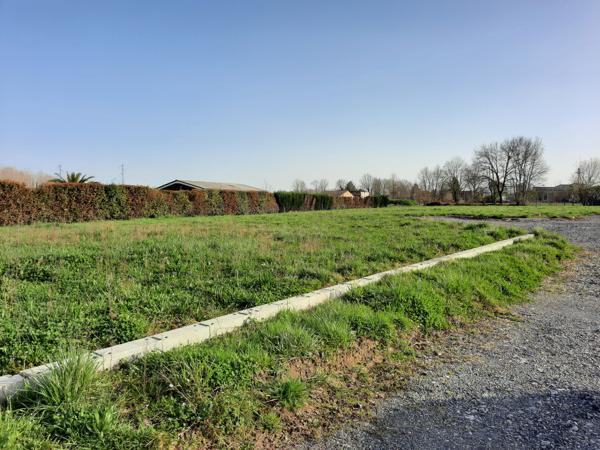 Terrain 1151 m2