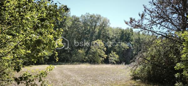 Vends terrain de 1764 m2 (dont 1519 m2 de constructible) au calme entre nature et forêt, proche de Villemur sur Tarn, sans vis à vis. Situé à 10 minutes de Villemur/Tarn, 45 minutes de l'aéroport de Toulouse-Blagnac et de Toulouse, ainsi que 20 minutes de Montauban, ce lieu vous offrira calme et sérénité grâce à son environnement champêtre et boisé.
A visiter sans tarder !

PRIX H.A.I. : 58000 €

Contactez votre conseiller BSK Immobilier :
PIERLOT Corentin - Agent commercial immatriculé au RSAC d'Albi sous le numéro 521641936.

INFORMATIONS ET VISITES : 0621220824