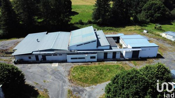 Local d’activité à vendre 350 m² Lannemezan