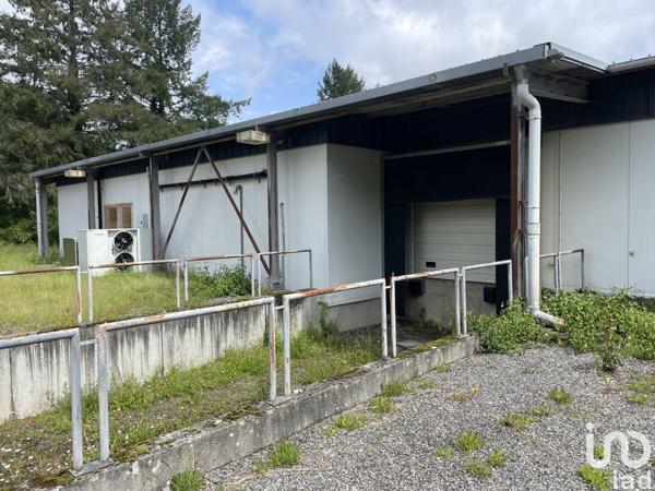 Local d’activité à vendre 350 m² Lannemezan
