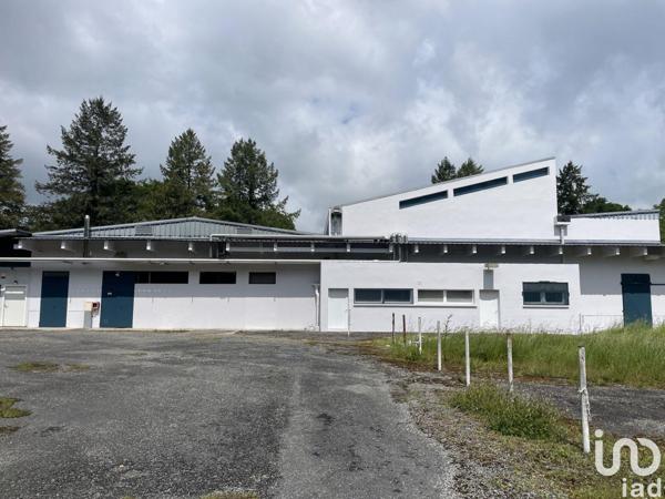 Local d’activité à vendre 350 m² Lannemezan