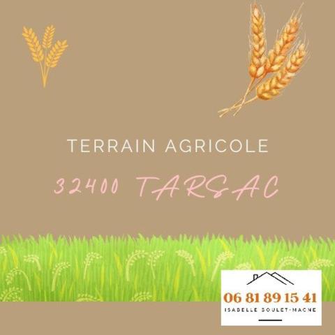 Terrain agricole de 5021m² sans DPU, ni drainage