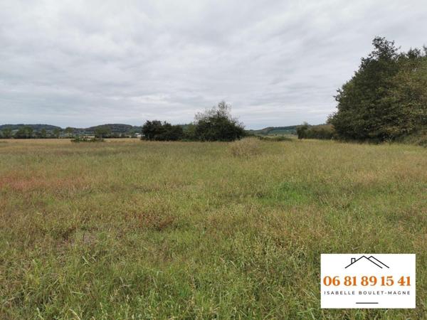 Terrain agricole de 5021m² sans DPU, ni drainage