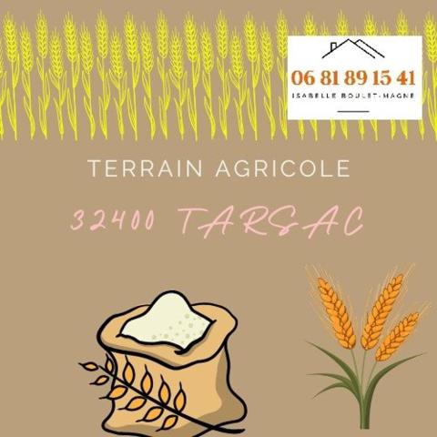 Terrain agricole de 5021m² sans DPU, ni drainage