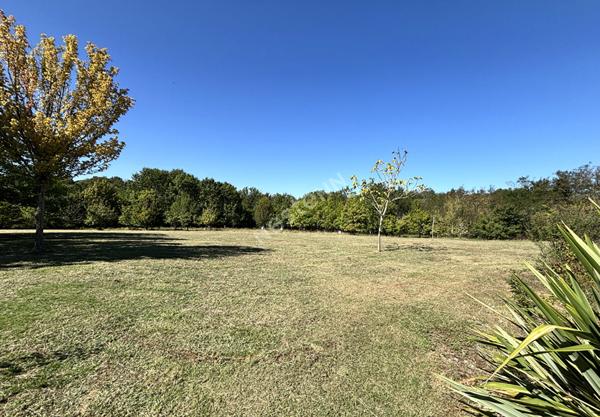Belle maison d'Architecte avec piscine dans un environnement naturel à Montauban secteur Le Fau