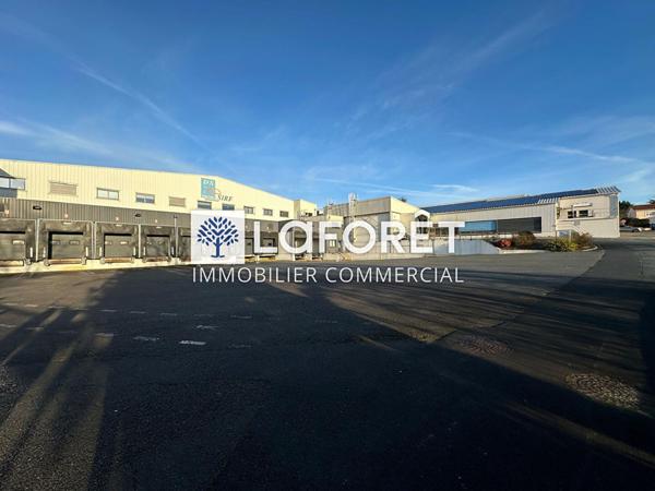 Achat local commercial près de LA CHATAIGNERAIE - 6475 m² - 5 288 000 €