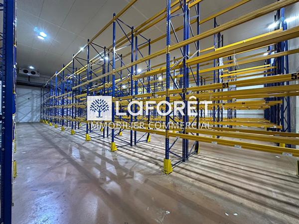 Achat local commercial près de LA CHATAIGNERAIE - 6475 m² - 5 288 000 €