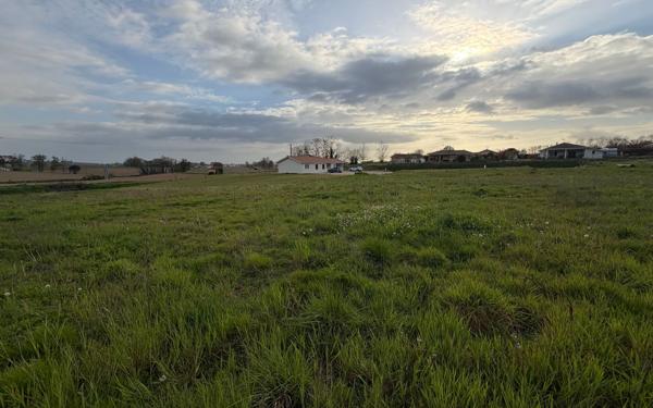 Terrain à vendre    Montaut