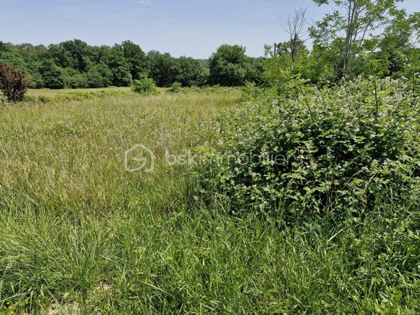 Venez découvrir ce terrain de 1422m2 situé à Eygurande-et-Gardedeuil
Le terrain n'est pas viabilisé eau/électricité/assainissement
L'étude de sol sera effectuée pour la vente
En pleine nature à quelques km de Montpon et ses commerces. 
Disponible pour votre projet immobilier, je m'adapte à votre agenda pour visiter...