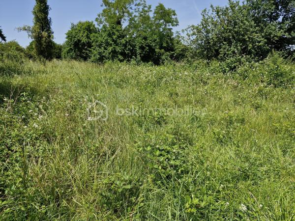 Venez découvrir ce terrain de 1422m2 situé à Eygurande-et-Gardedeuil
Le terrain n'est pas viabilisé eau/électricité/assainissement
L'étude de sol sera effectuée pour la vente
En pleine nature à quelques km de Montpon et ses commerces. 
Disponible pour votre projet immobilier, je m'adapte à votre agenda pour visiter...