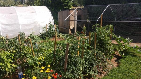 Maison Bois Esprit Chalet